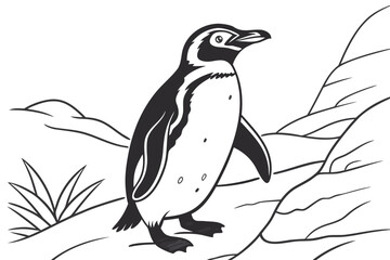 coloring page line art the penguin black vector