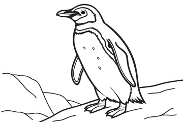 coloring page line art the penguin black vector