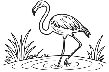 coloring page line art the flamingo black vector