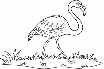 coloring page line art the flamingo black vector
