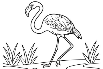 coloring page line art the flamingo black vector