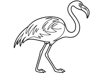 coloring page line art the flamingo black vector