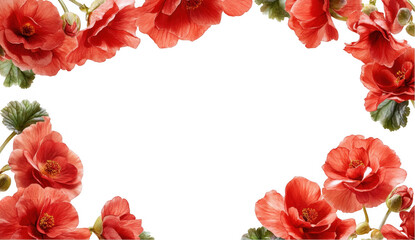 Red Flower Frame, Floral Border, Botanical Design