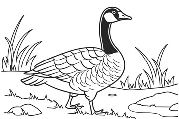 coloring page line art the goose black vector