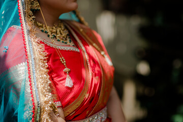 Elegantly adorned in a traditional garment, an individual showcases vibrant colors, intricate gold...