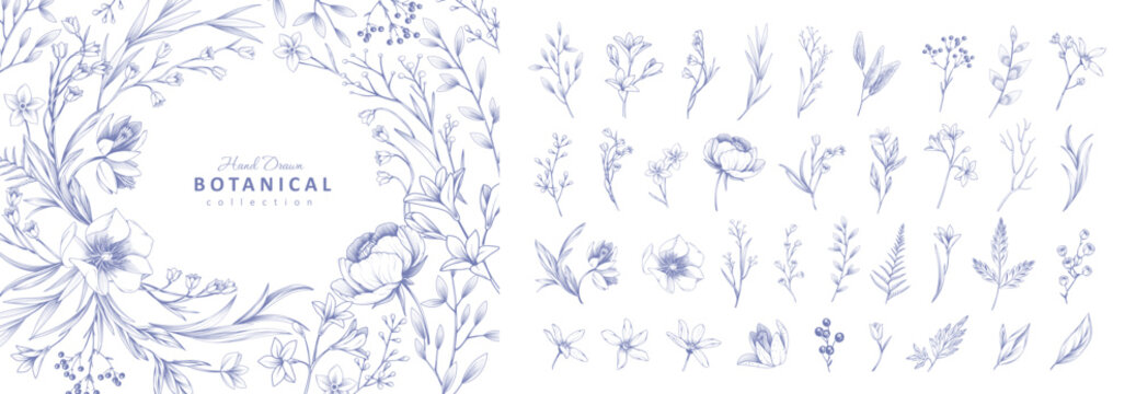 Set of detailed various flowers and foliage, intricate details and delicate forms. Hand drawn vector illustration with elegant botanical elements for invitation, save the date card