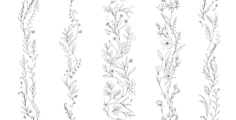 Botanical seamless horizontal border with detailed various foliage, intricate details and delicate forms. Elegant floral rustic design elements. Hand drawn vintage vector