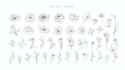 Set of detailed various flowers and branch with editable stroke. Hand drawn vector illustration, botanical elements for invitation, save the date © merfin