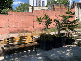 Bench, urban bench placed beside three large flower pots with trees and flowers, with modern buildings in background, image captures contrast between nature and urban environment