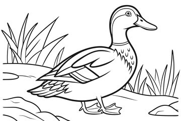 coloring page line art the duck black vector