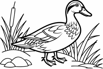 coloring page line art the duck black vector