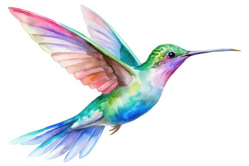Fototapeta premium Vibrant watercolor hummingbird with iridescent wings in flight isolated on transparent background