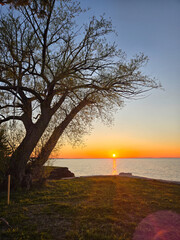 Lone Tree Overlooking a Calm Lake at Sunset