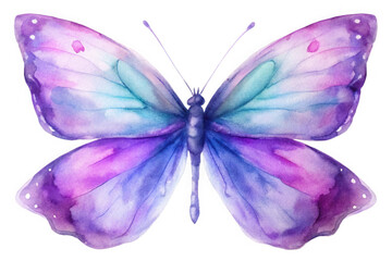 Fototapeta premium Beautiful watercolor butterfly with purple and blue wings isolated on transparent background