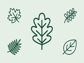 Various green leaves on a light green background nature botanical