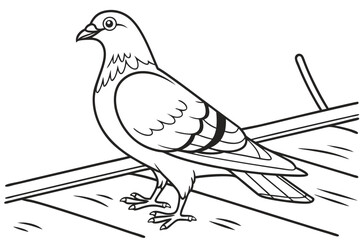 coloring page line art the pigeon black vector