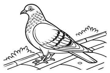 coloring page line art the pigeon black vector