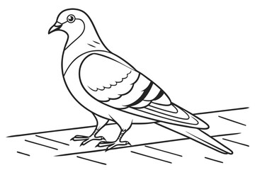 coloring page line art the pigeon black vector