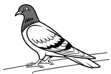 coloring page line art the pigeon black vector