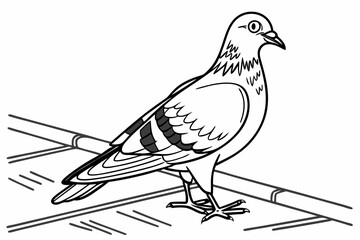 coloring page line art the pigeon black vector