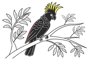 Fototapeta premium coloring page line art the cockatoo black vector