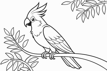 coloring page line art the cockatoo black vector