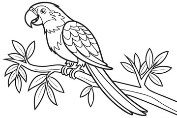 coloring page line art the parrot black vector