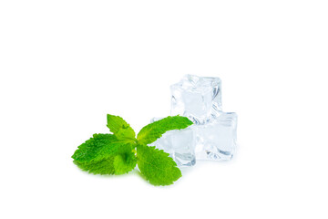 Mint and ice isolated on white background. Green fresh mint and ice cube. Mint leaves, ice cube and...