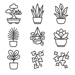 Indoor hanging fig icon vector fiddle plant bonsai icons leaf snake succulent