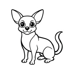 Cute chihuahua dog sitting animal