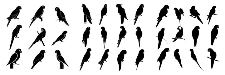 Fototapeta premium A collection of parrot silhouettes set against a white backdrop, version two