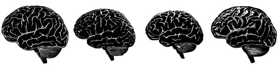 This image depicts a human brain in black silhouette, showcasing its intricate contours and folds, commonly referred to as a brain outline or brain clipart, in a modern clipart illustration design