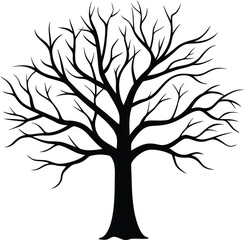 Obraz premium a silhouette tree without leaves on white backgrou.eps