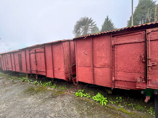 20th century goods train wagons of toy train in Darjeeling WB