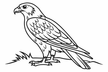 coloring page line art the falcon black vector