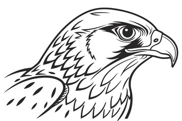 coloring page line art the falcon black vector
