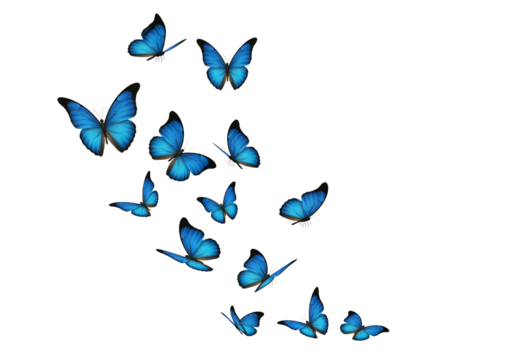 A group of blue butterflies isolated on transparent background