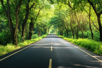Fototapeta premium Peaceful Road Surrounded by Lush Green Trees