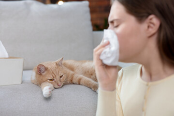 Woman suffering from allergy with her cat at home, selective focus