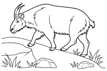 coloring page line art the takin black vector