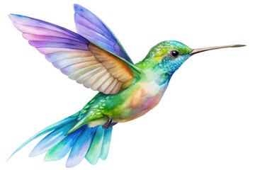 Vibrant watercolor hummingbird in flight with iridescent feathers isolated on transparent background