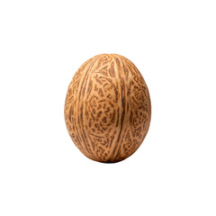 Isolated Brown Egg with Artistic Pattern on Display