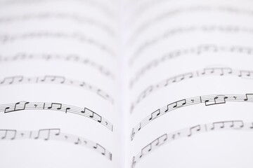 Fototapeta premium Sheets with musical notes as background, closeup