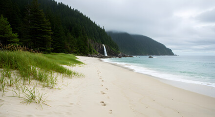 lonely footprints in the white beach sand with green grass patches, pine tree forest in background, clear ocean and waterfall on horizon, moody cloudy sky
