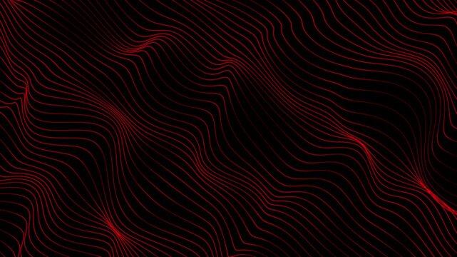 Abstract waving red lines on the black background 4K resolution stock video 