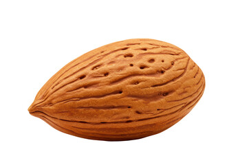 Isolated Almond Kernel Texture Detail