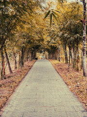 ホイアンのミーソン遺跡