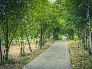 ホイアンのミーソン遺跡