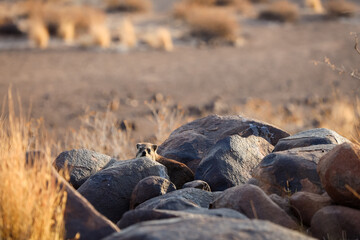 Untamed beauty of Namibia’s vast and rugged landscapes