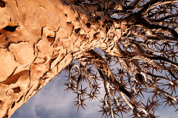 Untamed beauty of Namibia’s vast and rugged landscapes